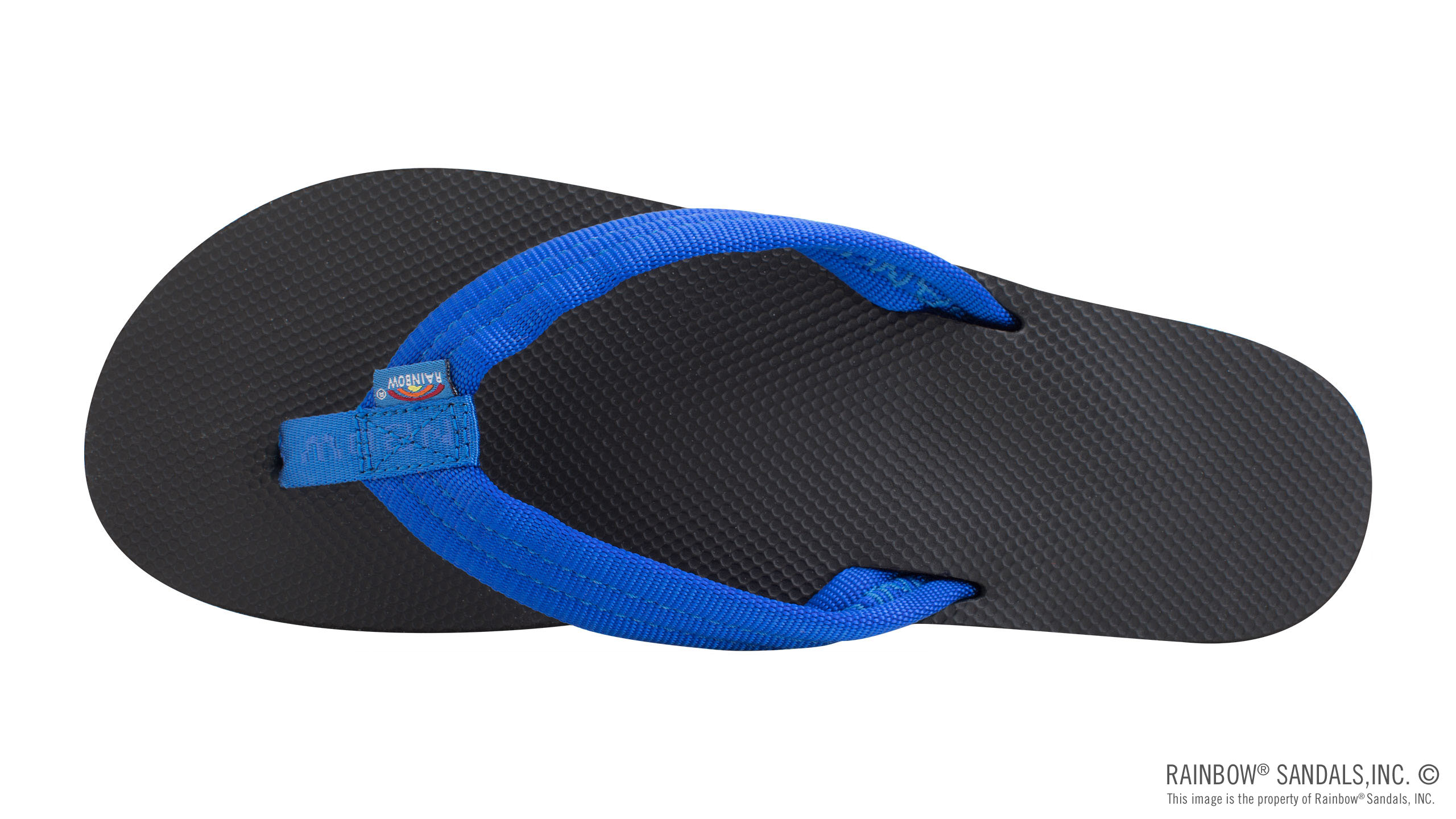 Classic Rubber - Single Layer Soft Top 3/4" EVA Rubber Filled Nylon Strap - Image 3