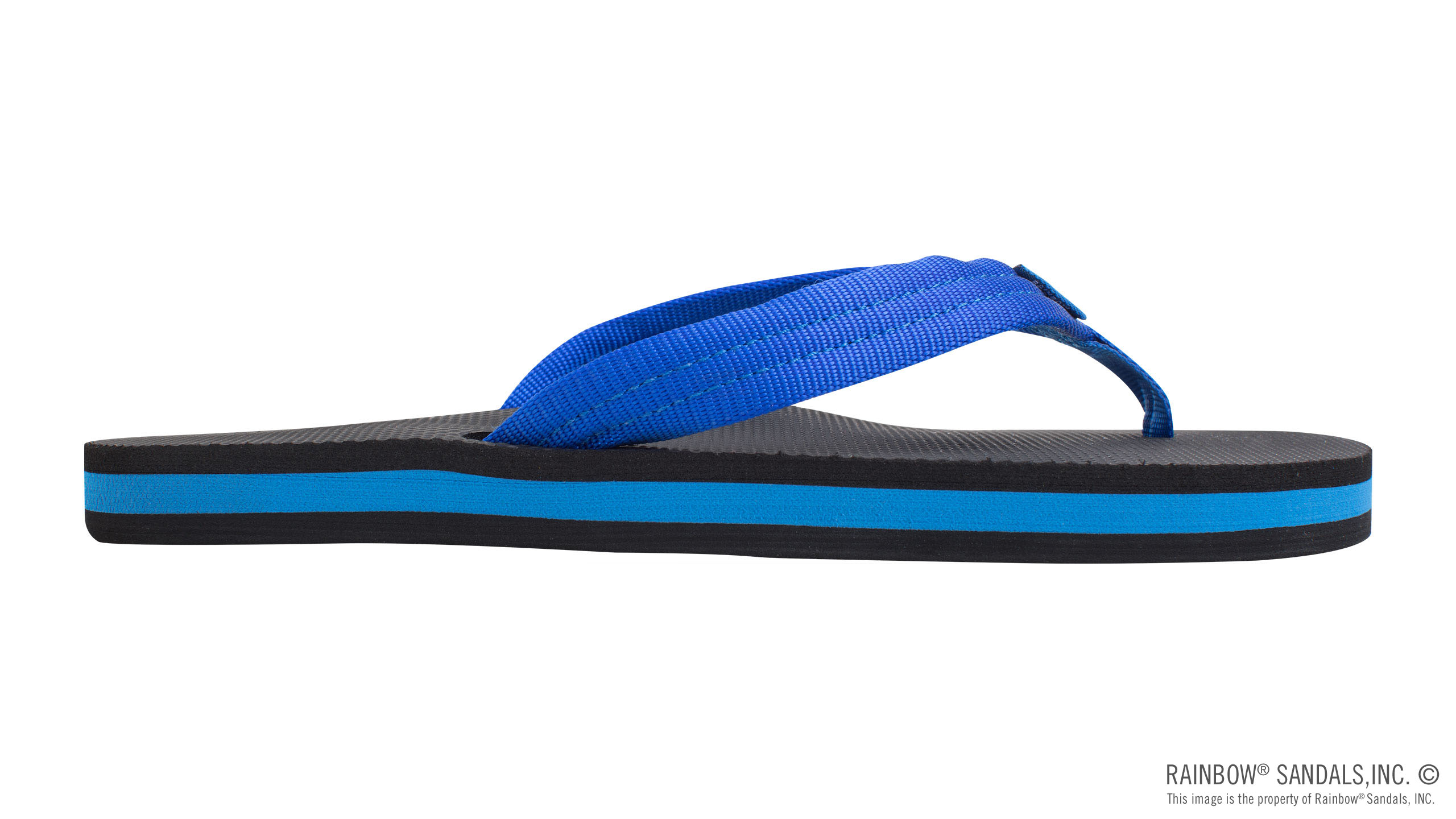 Classic Rubber - Single Layer Soft Top 3/4" EVA Rubber Filled Nylon Strap - Image 4