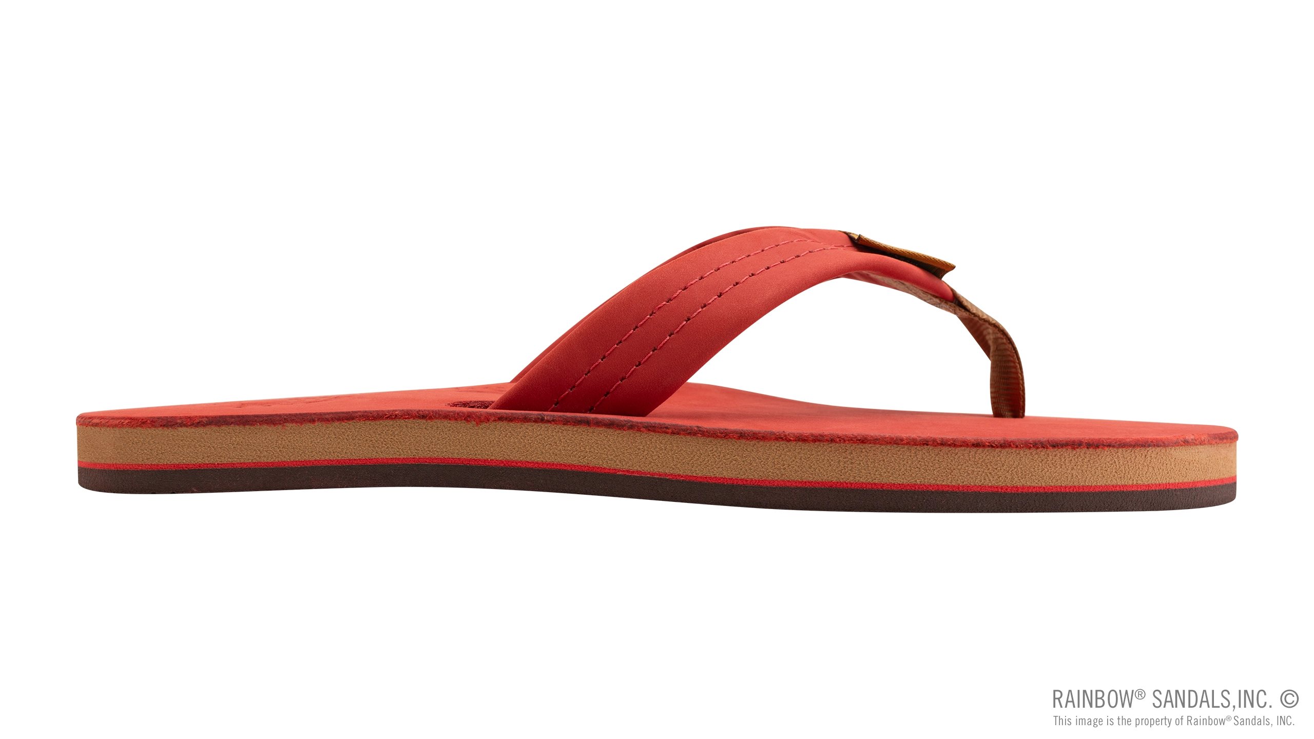 Legacy Collection Premier Leather Single Layer Arch - Image 4