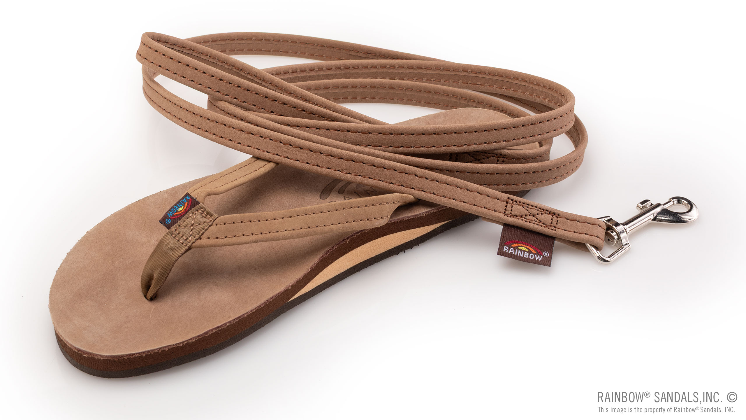 Leather Dog Leash - Assorted Widths - Image 3